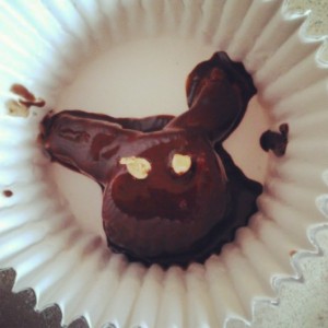 Chocolate+PB bunny (a little creepy-looking, but still cute!)